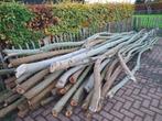 stookhout, Tuin en Terras, Haardhout, 3 tot 6 m³, Ophalen, Overige houtsoorten, Stammen
