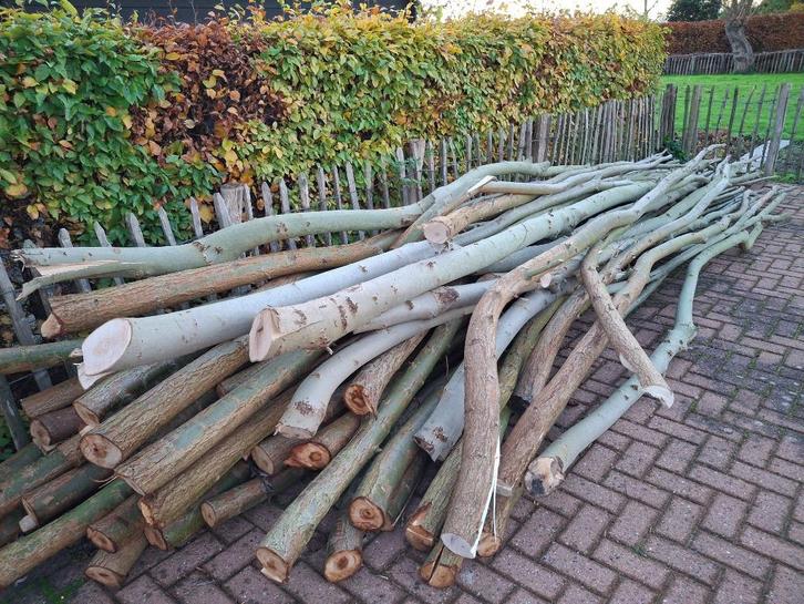 stookhout, Tuin en Terras, Haardhout, Stammen, Overige houtsoorten, 3 tot 6 m³, Ophalen