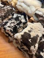 Zachte bonte schapenvacht van bergschaap, Gebruikt, 50 tot 100 cm, Etten-Leur, DJT@dejuistetoon.eu