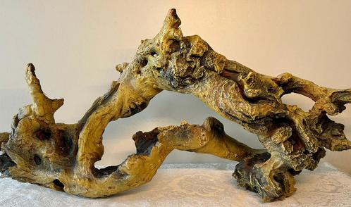 Stronk voor terrarium of aquarium, Dieren en Toebehoren, Vissen | Aquaria en Toebehoren, Plant(en), Steen of Hout, Ophalen of Verzenden