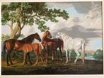 Gesigneerde schilderij van een kudde paarden aan rivieroer, Ophalen