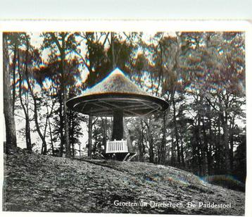 (388-408-023) Driebergen-Rijsenburg De Paddenstoel beschikbaar voor biedingen