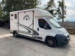 Equitrek Sonic paardenwagen, Dieren en Toebehoren, Ophalen, Gebruikt, Overige typen