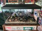Aquarium, Dieren en Toebehoren, Vissen | Aquaria en Toebehoren, Ophalen, Leeg aquarium