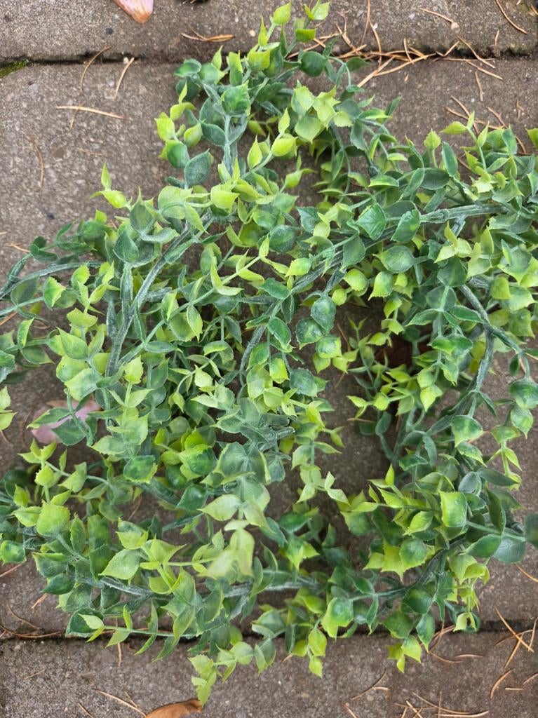 EUCALYPTHUS - KUNST - GUIRLANDE - HANGING GARDEN, Ophalen of Verzenden, Zo goed als nieuw