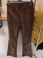 Lofty Manner Rib Broek - Maat L - Nieuw, Bruin, Lofty Manner, Maat 42/44 (L), Nieuw
