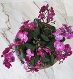 Mooie pot met kunst orchideeën, Huis en Inrichting, Ophalen, Zo goed als nieuw