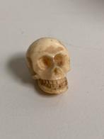 19 eeuws schedeltje Momento Mori, Ophalen of Verzenden