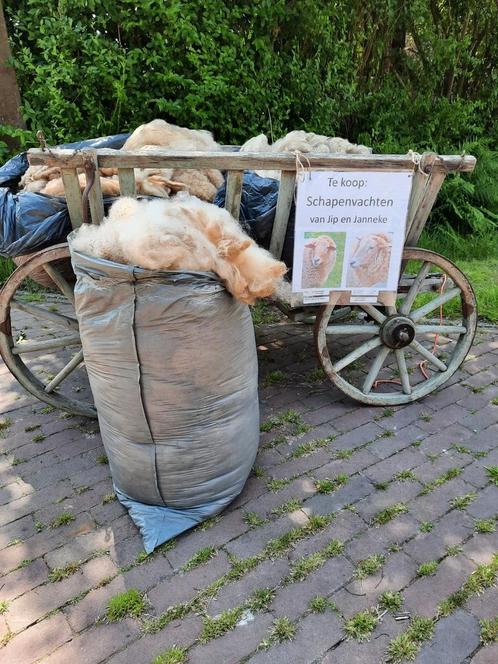 Schapenvachten te koop, Hobby en Vrije tijd, Overige Hobby en Vrije tijd, Gebruikt, Ophalen