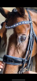 Judi manche stang en trens hoofdstel NIEUW met swarovski, Ophalen of Verzenden, Nieuw, Dressuur