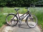 Giant Holywood street dames ATB-21 versn./49,53 fr./26 inch-, Ophalen, Gebruikt, Hardtail, 49 tot 53 cm