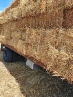 Tarwestro van dit jaar – droog en van goede kwaliteit, Dieren en Toebehoren, Ophalen of Verzenden, Vee