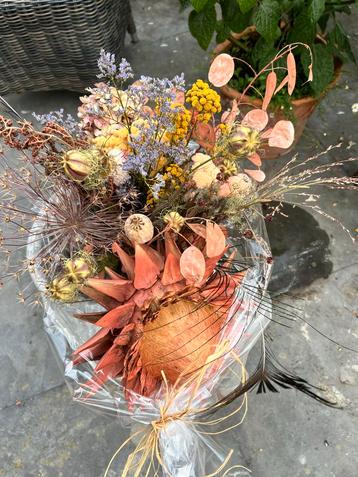 Droogbloemen Boeket - Nieuw & Stijlvol beschikbaar voor biedingen
