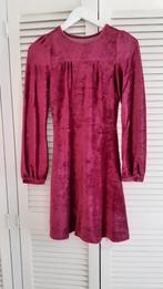 mooie velour jurk in van King louie in maat xs., Paars, Ophalen of Verzenden, Zo goed als nieuw, King Louie