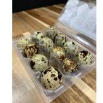 kwarteleieren, Ophalen