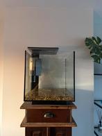 Qubiq 60 aquarium, Ophalen, Zo goed als nieuw, Leeg aquarium