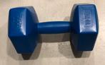 2 stuks blauwe 10kg dumbells, Dumbbell, Gebruikt, ., Armen