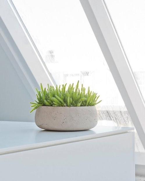 PTMD plantenschaal plantenbak 28x28x12, Huis en Inrichting, Woonaccessoires | Schalen en Manden, Zo goed als nieuw, Rond, Ophalen