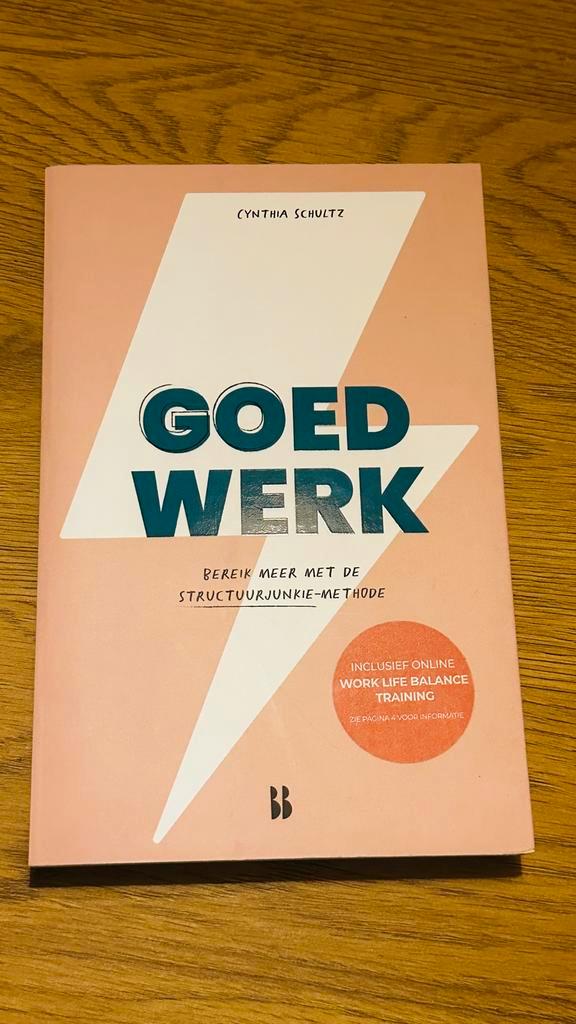 Goed Werk - Cynthia Schultz, Boeken, Advies, Hulp en Training, Zo goed als nieuw, Ophalen of Verzenden