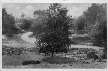 (388-327-009) Driebergen-Rijsenburg Boschgezicht beschikbaar voor biedingen