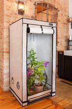Homebox ambient Q120, Ophalen of Verzenden, Zo goed als nieuw, Kweektent