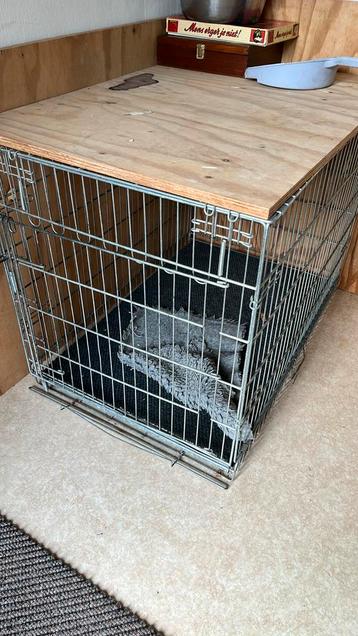 Hondenbench beschikbaar voor biedingen