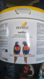 Te koop 3 Lorie van de blauwe bergen, Dieren en Toebehoren, Vogels | Parkieten en Papegaaien, Meerdere dieren, Papegaai, Tam