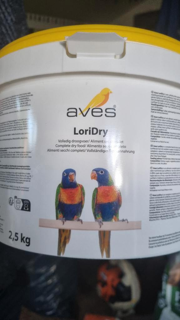 Te koop 3 Lorie van de blauwe bergen, Dieren en Toebehoren, Vogels | Parkieten en Papegaaien, Papegaai, Meerdere dieren, Tam