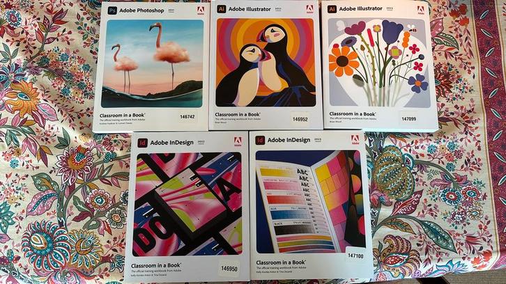 LOI Adobe Programma Lesboeken, Boeken, Studieboeken en Cursussen, Zo goed als nieuw, Beta, Ophalen of Verzenden