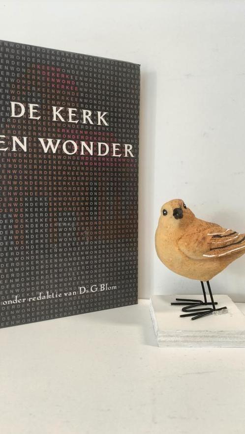 Blom, Ds. G. : De Kerk een wonder, Boeken, Godsdienst en Theologie, Zo goed als nieuw, Christendom | Protestants, Ophalen of Verzenden
