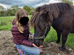 Betrouwbare stalhulp aangeboden!, Dieren en Toebehoren, Stalling en Weidegang