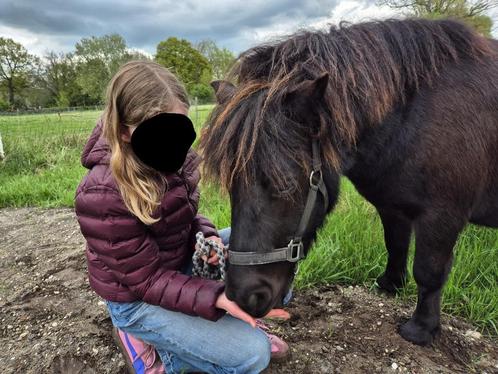 Betrouwbare stalhulp aangeboden!, Dieren en Toebehoren, Stalling en Weidegang