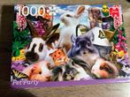 Nieuwe Jumbo Pet Party Puzzel - 1000 stukjes, Ophalen of Verzenden, 500 t/m 1500 stukjes, Nieuw, Legpuzzel