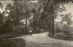 Bospad bij de Slotschelaan, Rossum (Gld), Ophalen of Verzenden, 1920 tot 1940, Ongelopen, Gelderland