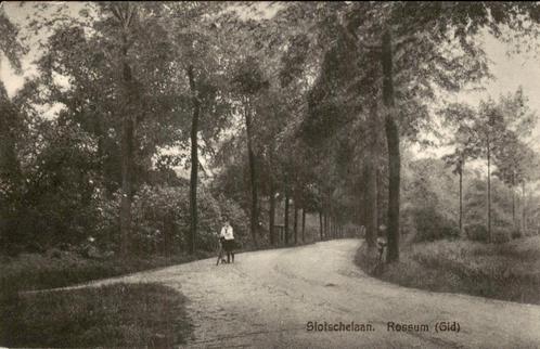 Bospad bij de Slotschelaan, Rossum (Gld), Verzamelen, Ansichtkaarten | Nederland, Ongelopen, Gelderland, 1920 tot 1940, Ophalen of Verzenden