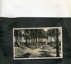 Ansicht Elspeet - Omgeving Elspeet, Verzenden, Gelopen, Gelderland