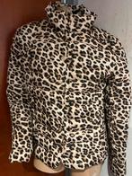 Hallhuber jas maat L nieuw, Bruin, G, Maat 42/44 (L), Nieuw