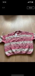 Ambika trui roze one size   M L XL nieuw, Kleding | Dames, Truien en Vesten, Verzenden, Maat 42/44 (L), Zo goed als nieuw, Roze