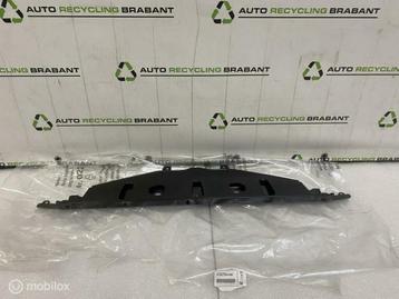 Voorfront Plaat BMW 5 Serie F10 F11 NIEUW ORIG 51647200689 beschikbaar voor biedingen