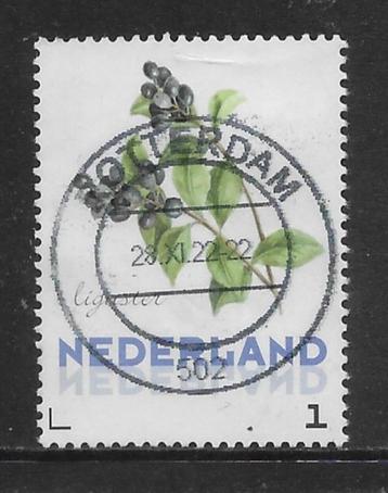 Persoonlijke, JB, Planten, Liguster (K1832) beschikbaar voor biedingen