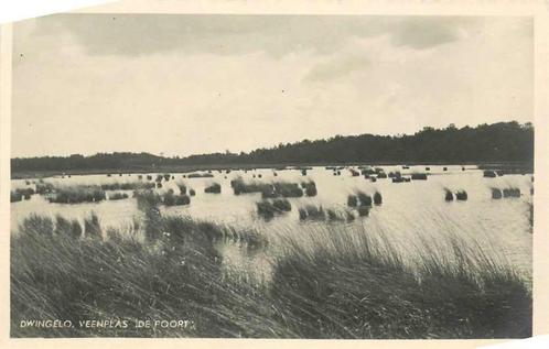 (377-657-013) Dwingeloo Veenplas, Verzamelen, Ansichtkaarten | Nederland, Drenthe, Verzenden