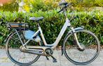 Elektrische fiets gazelle voorwielmotor totaal 1352 km