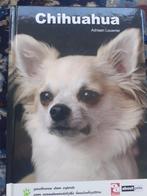 Chihuahua boek A. Louwrier, Ophalen of Verzenden