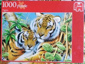 Puzzel 1000 stukjes: Tijgers beschikbaar voor biedingen