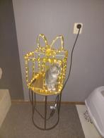 Noorse boskat / Europese korthaar, Dieren en Toebehoren, Katten en Kittens | Raskatten | Korthaar, Poes