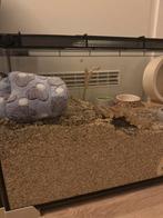 Hamsterhok - 81.7x36.9x43.1 cm, Dieren en Toebehoren, Zo goed als nieuw, 75 tot 110 cm, Ophalen, Minder dan 60 cm