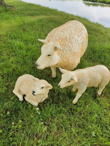 Set van 3 Texelse Schapen beschikbaar voor biedingen