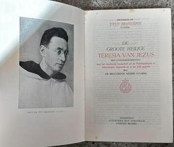 De groote heilige Teresia van Jezus beschikbaar voor biedingen