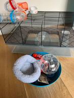 Hamsterkooi, Minder dan 60 cm, Kooi, Minder dan 75 cm, Ophalen of Verzenden