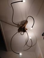 Boomstronk lamp boomlamp, Ophalen